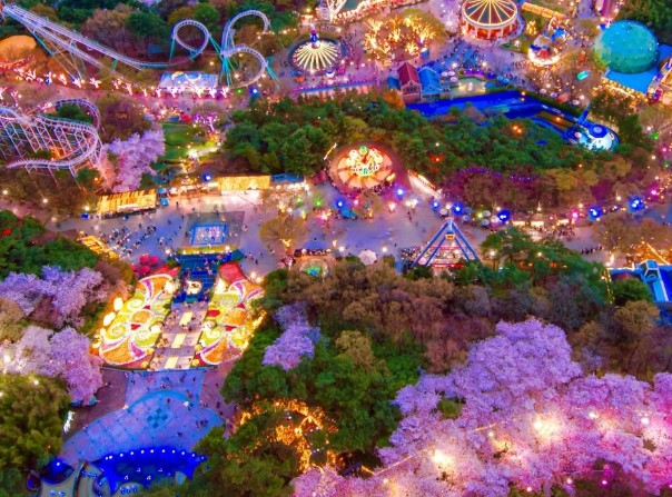 대구이월드벚꽃축제