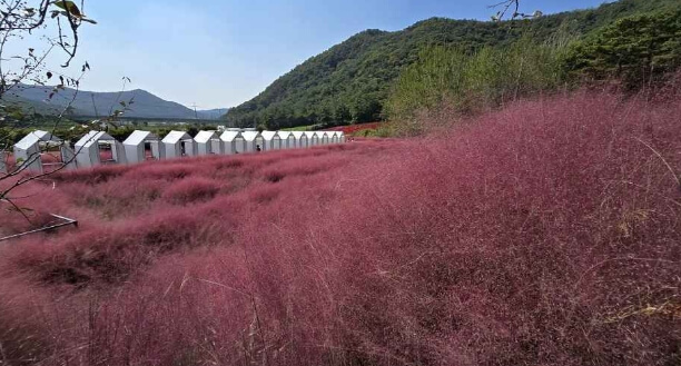 고창 가볼만한곳 베스트 10