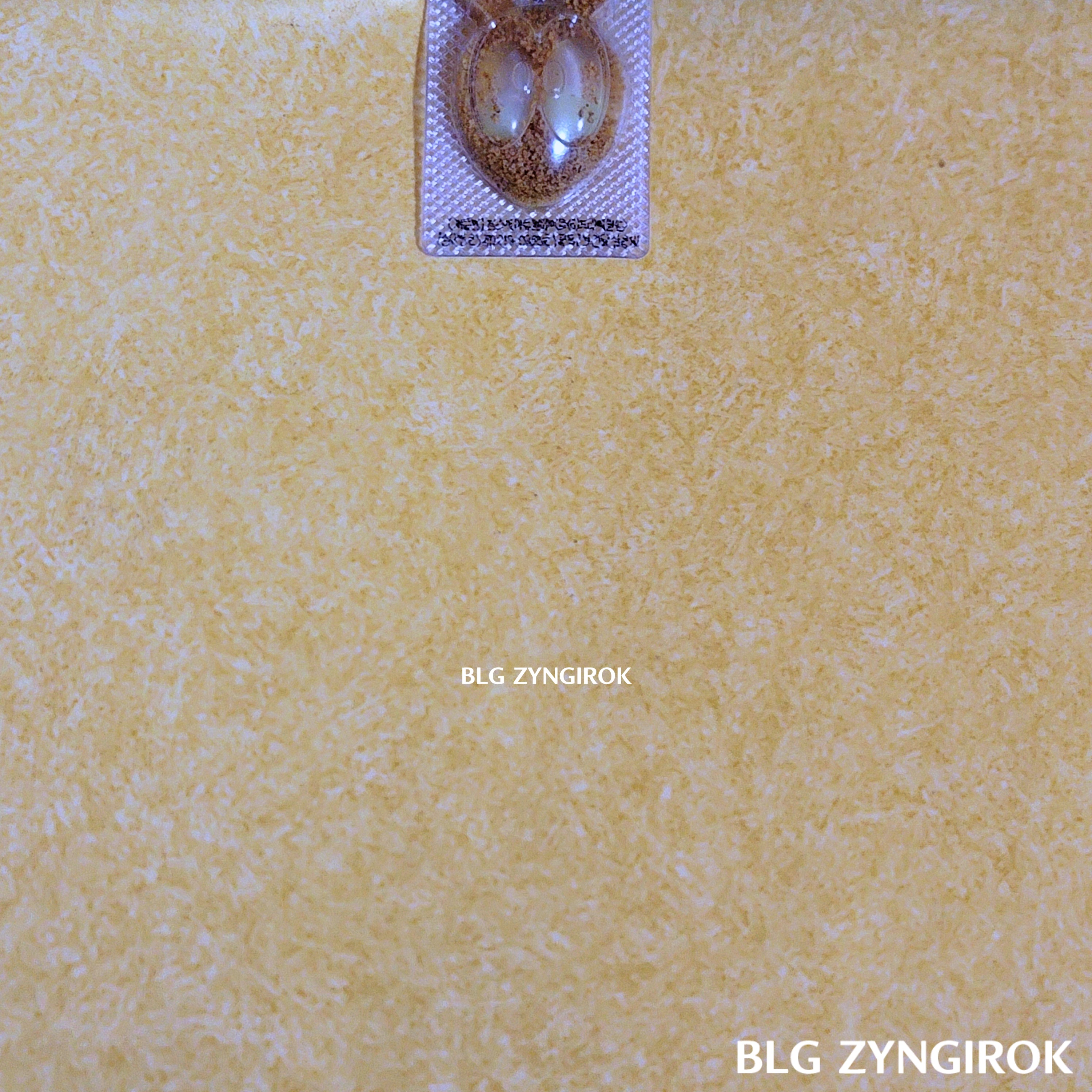 개미 퇴치기 - 잡스 개미 퇴치 중인 모습이다.