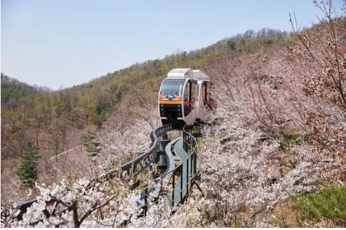 서울근교 가볼만한곳