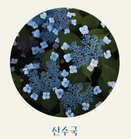 화담숲-홈페이지-예약방법