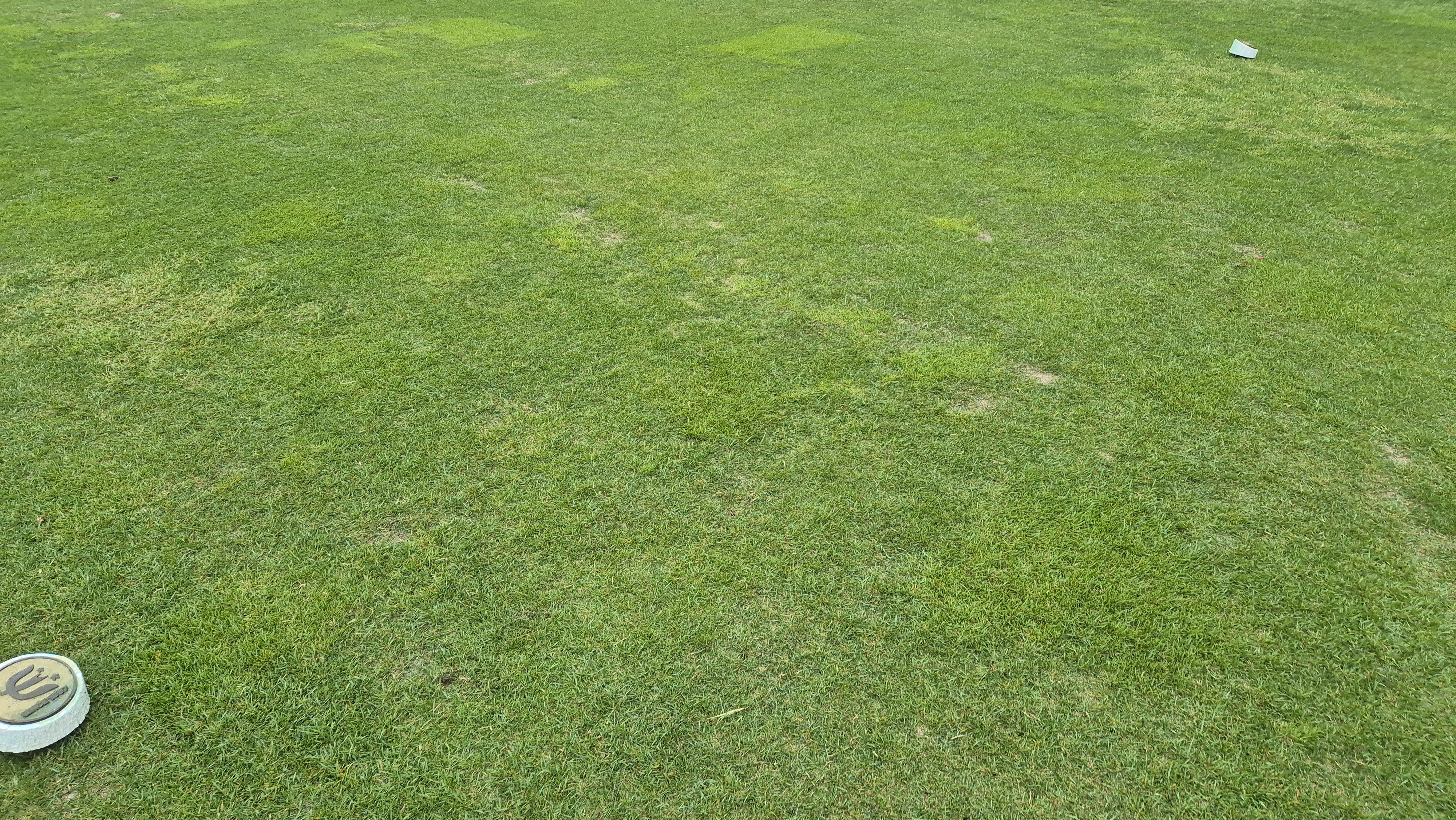 엘리시안 강촌cc 라운드 후기