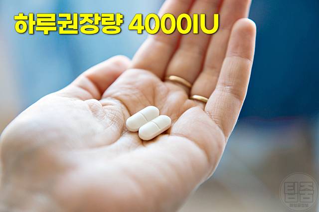신장에 나쁜 영양제 약 비타민D 하루권장량