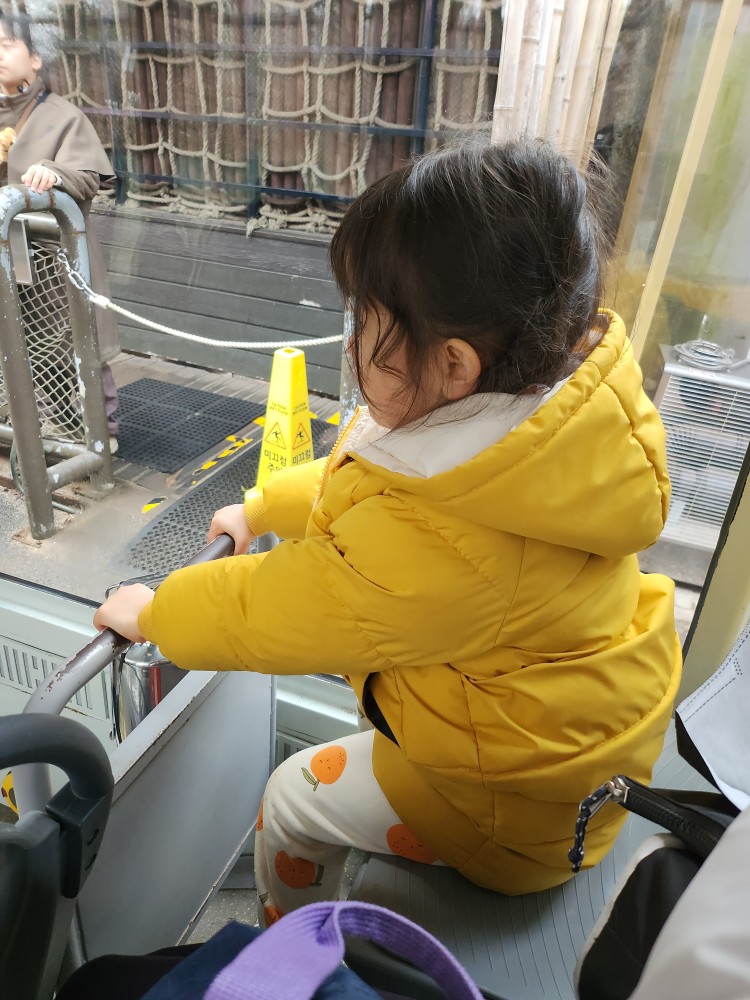 사파리 버스에 탄 아이