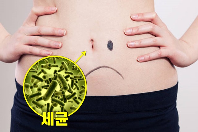 배꼽때 냄새 세균