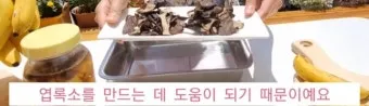 바나나 껍질 비료 활용 희석사용시기 냄새방지 천연영양 가이드_10