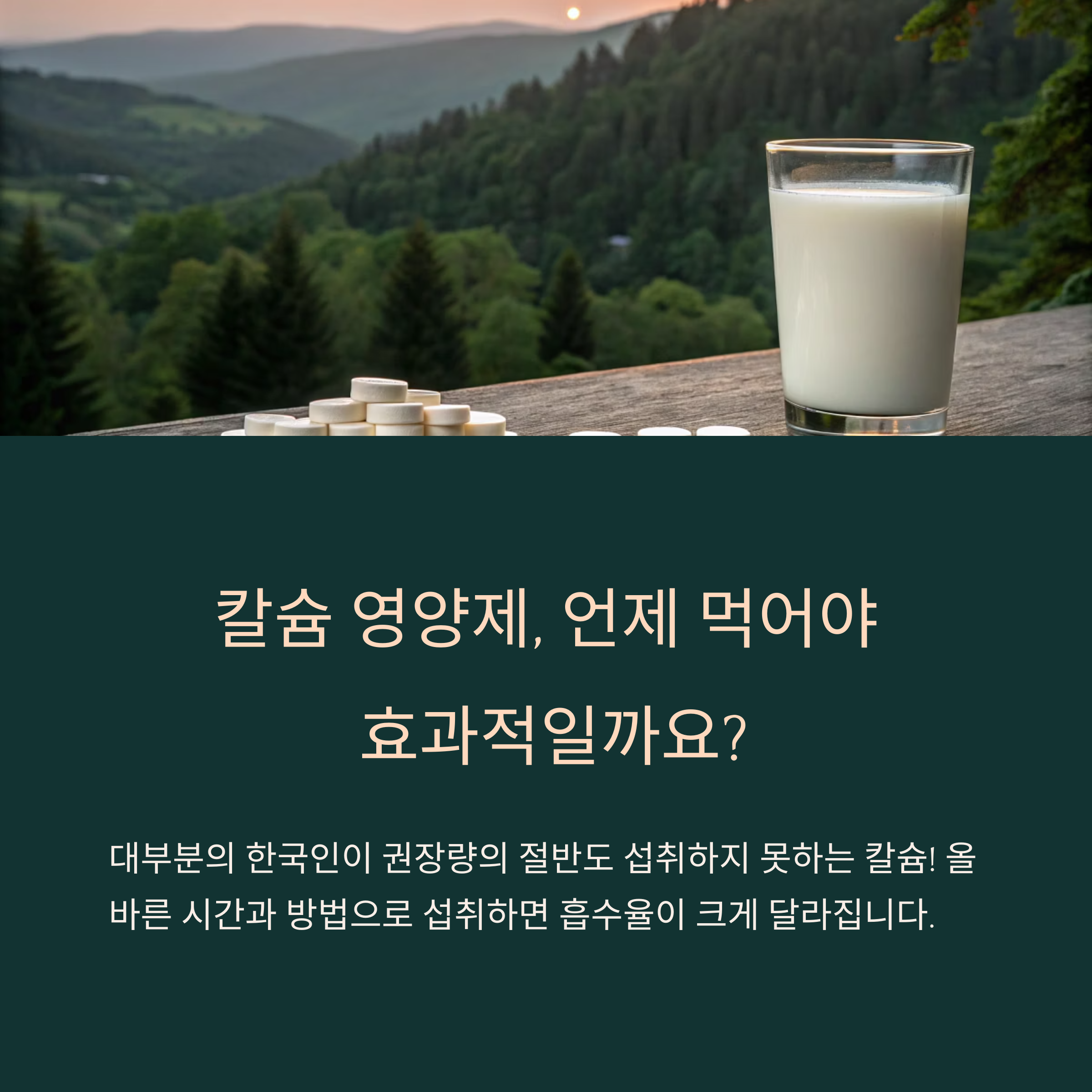 칼슘 영양제