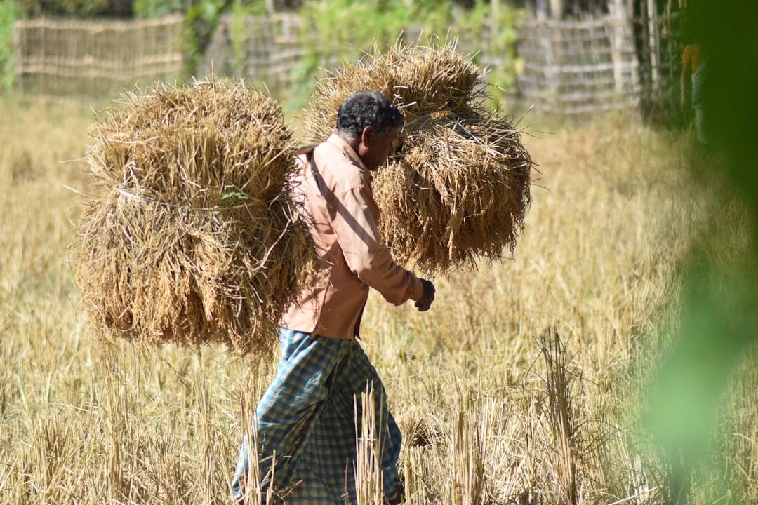 Farmers' Basic Income