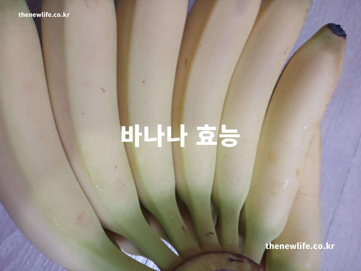 바나나 효능 대표 실사진