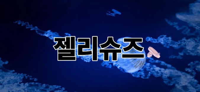 젤리슈즈