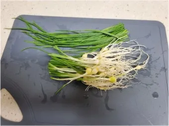 달래 손질 방법 달래장 맛있게 꿀팁_11