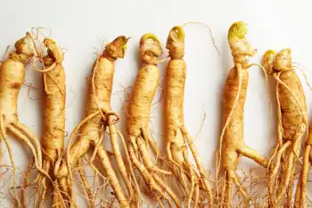 인삼 효능 및 가격, 영양 성분의 효과