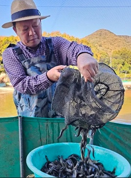 조규만
