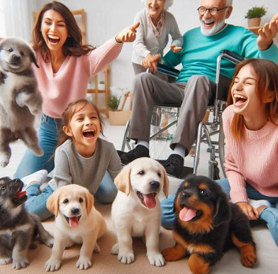 강아지 건강관리 방법 반려견 건강 챙기기