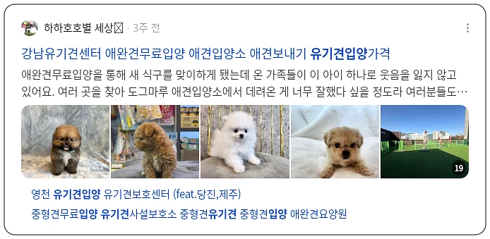 유기견 입양_2_subsection