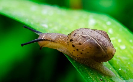 넌센스 퀴즈 50개 송년회 신년회 분위기 살려줄
