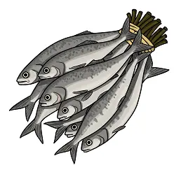 굴비 한 두름 몇 마리-2