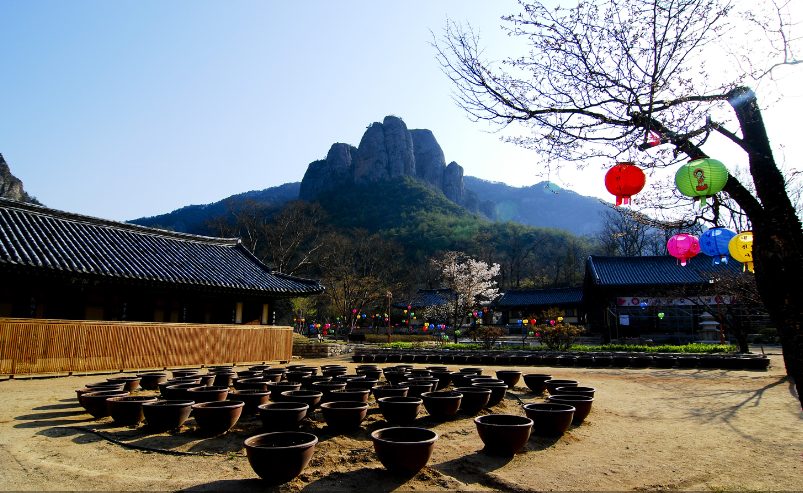 주왕산 국립공원 단풍