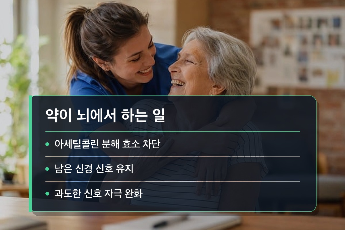 치매 진단기준 이 약들이 뇌에서 정확히 무슨 일을 하는 걸까요?