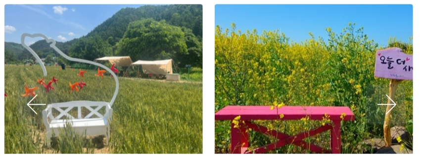 [6월 축제]2025 양평밀축제❘ 기간, 일정, 프로그램 및 이벤트 정리