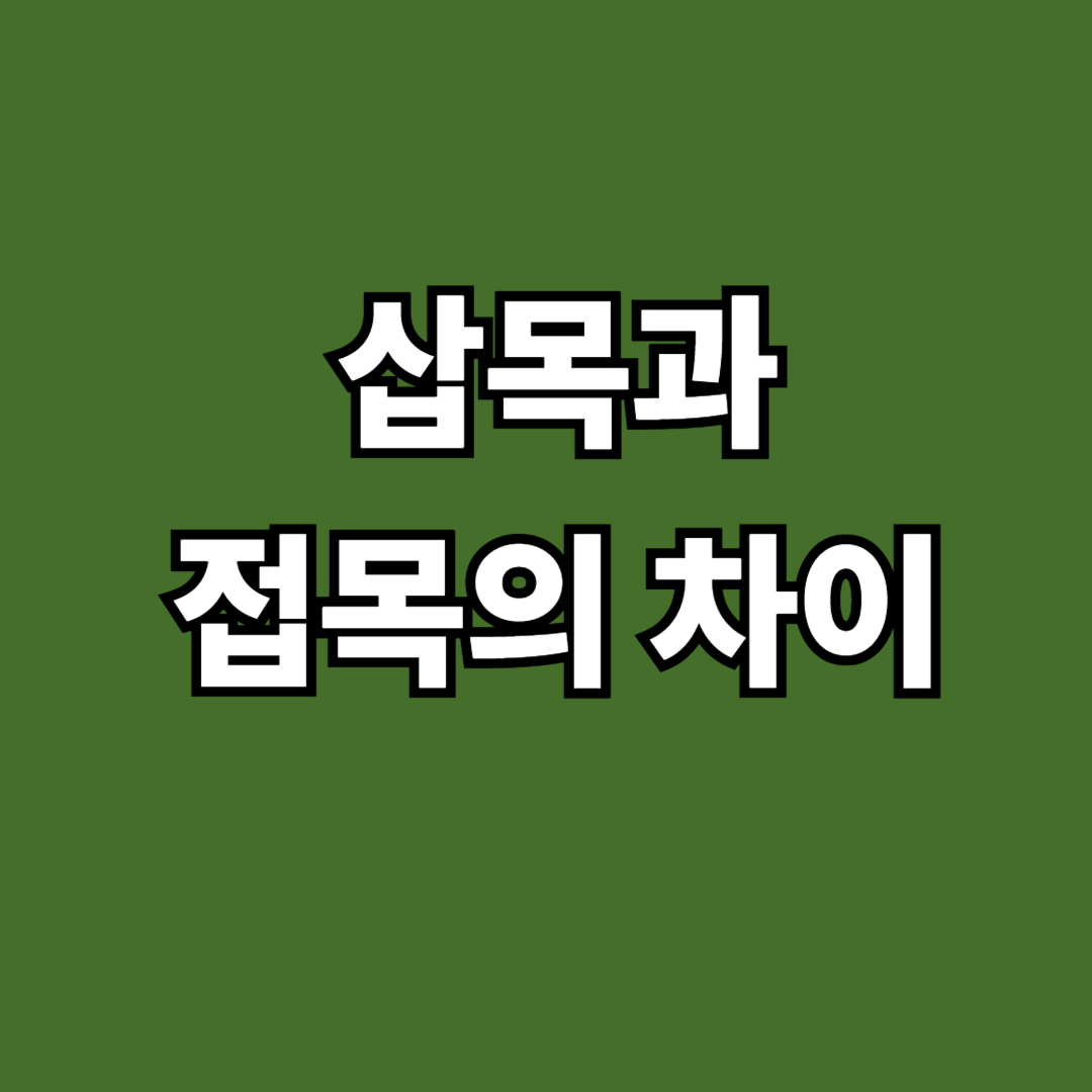 삽목과 접목 차이 완벽 정리｜묘목 번식 방법 비교와 재배 시 주의사항