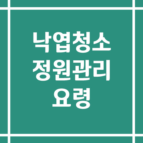 가을철 낙엽 청소 및 정원 관리 요령