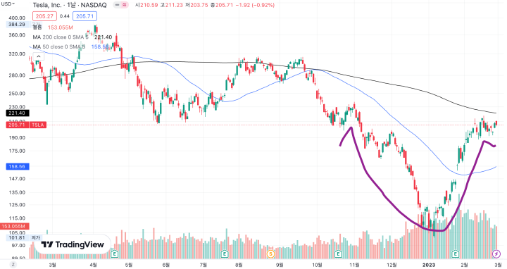 테슬라 주가 차트 추이