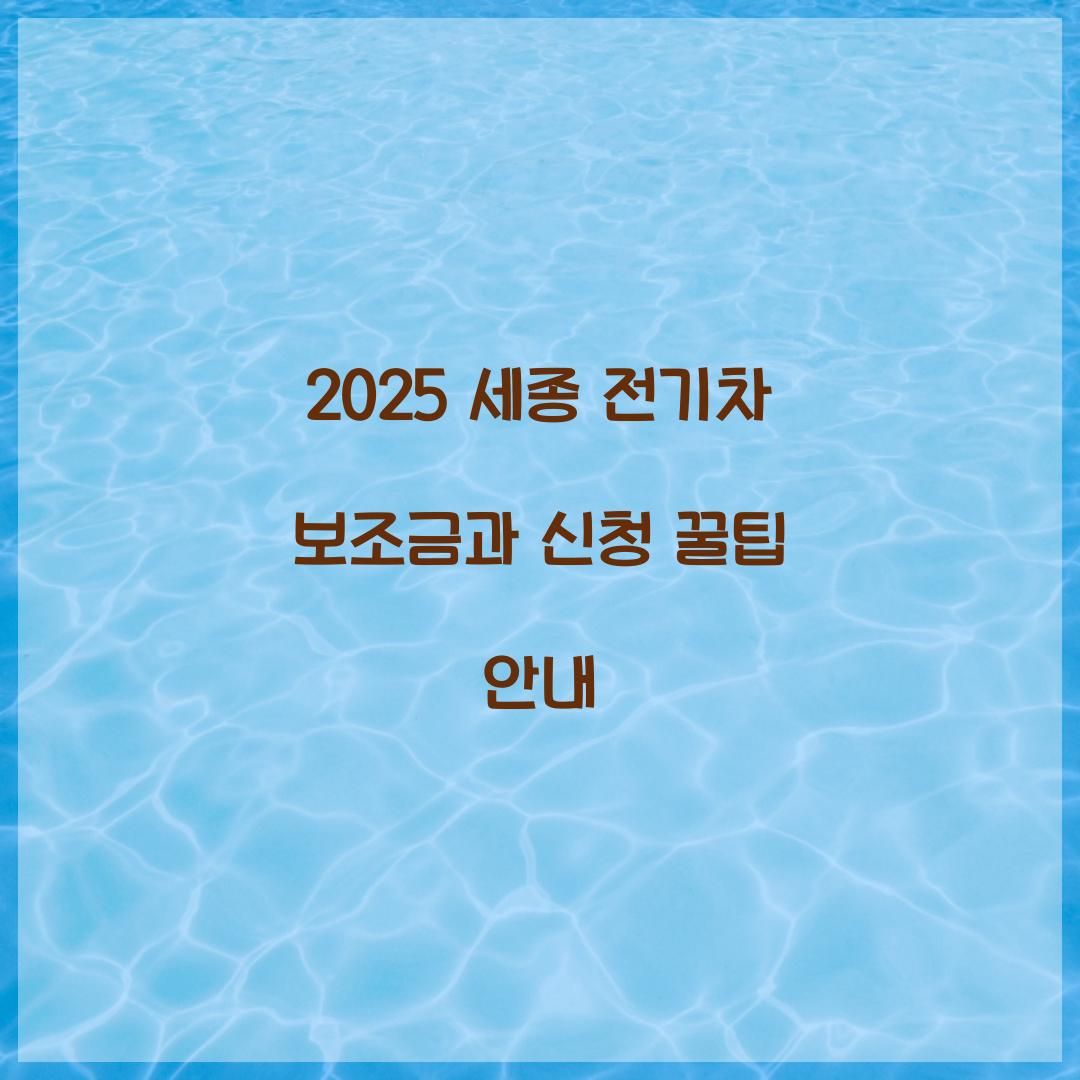 세종 전기차 보조금