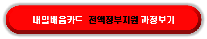 내일배움카드로 배울 수 있는 것 중 정부가 전액 지원하는 교육과정