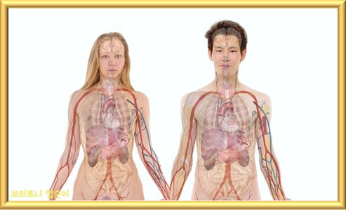 간 건강에 좋은 음식