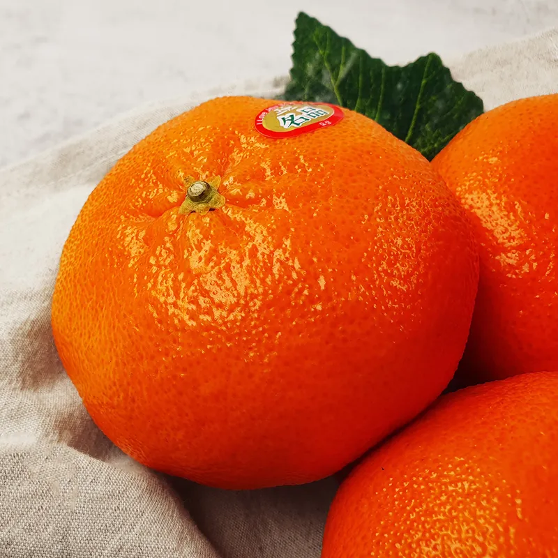 레드향은 일본에서 개발된 고당도 만감류 감귤 품종