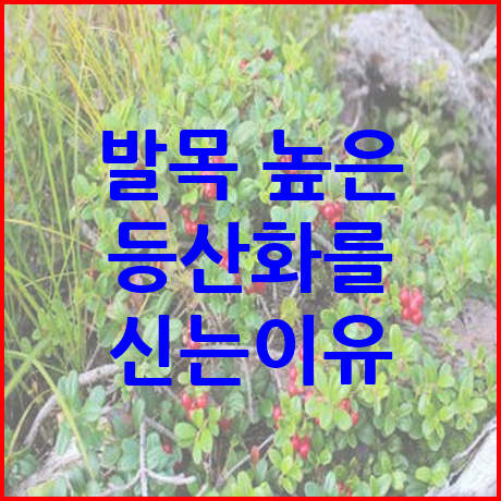 발목 높은 등산화