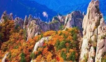 설악산 단풍 절정시기 2024년 예상일정과 교통편 정보_2