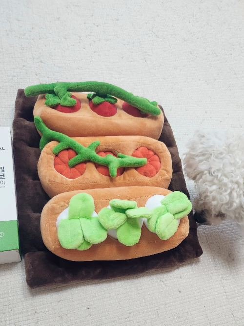 노즈워크 사용법