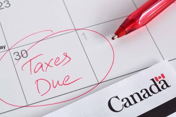 연말정산 부양가족 연금소득