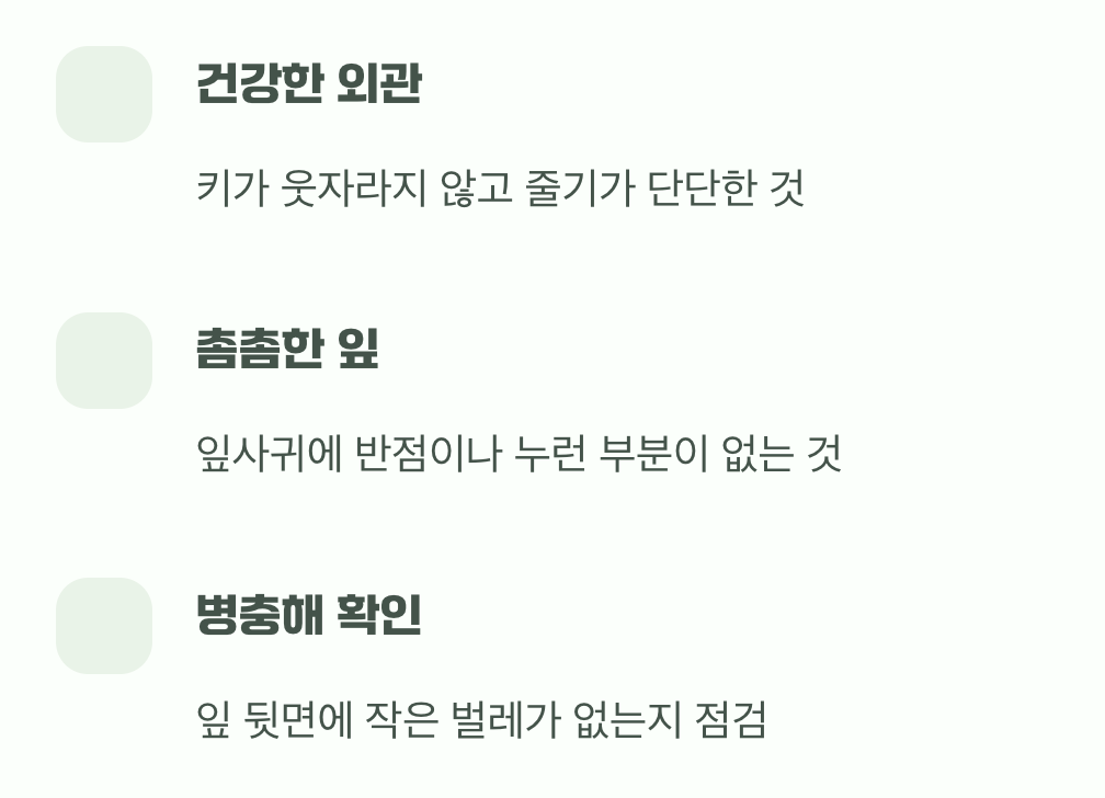 시작이 반, 튼튼한 모종 고르기