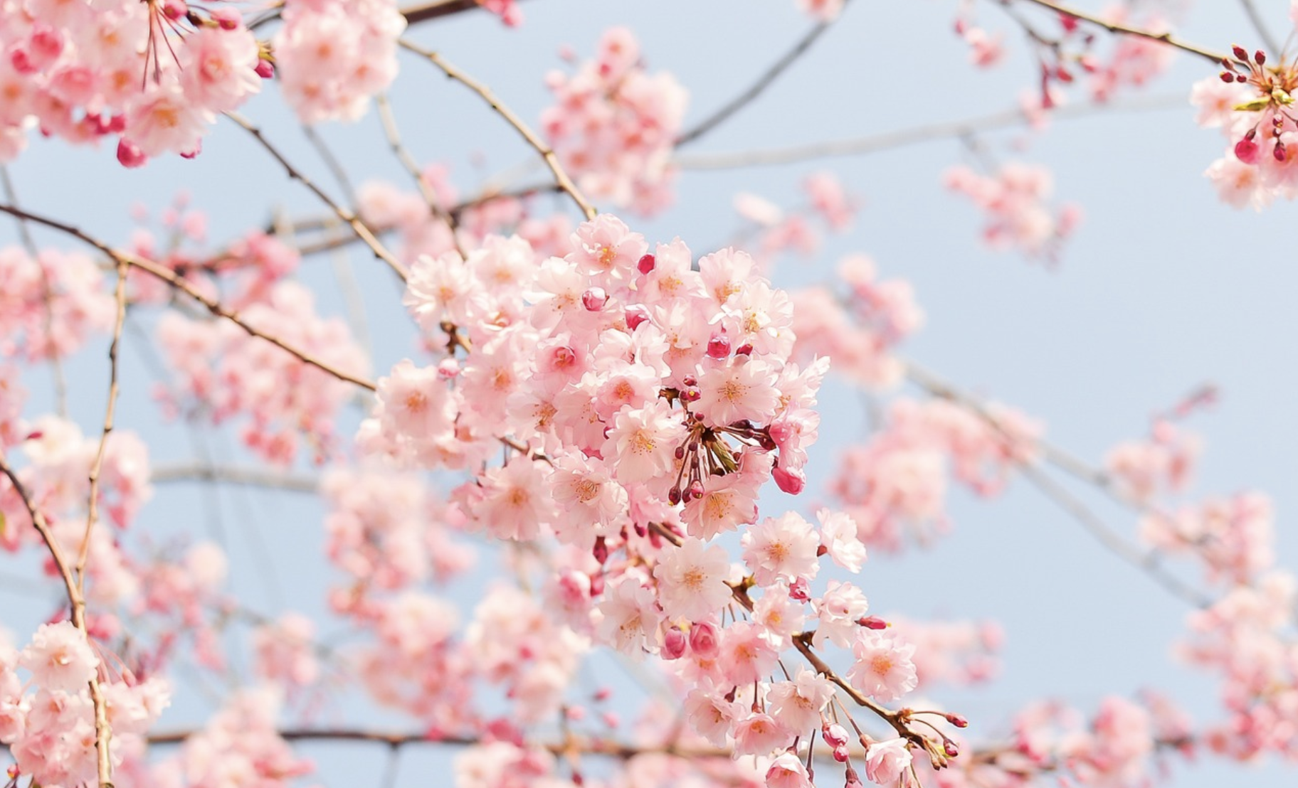 3월 kkday 할인코드 모두 정리 - 방콕 대만 일본 하와이 싱가포르 5~10% 할인코드