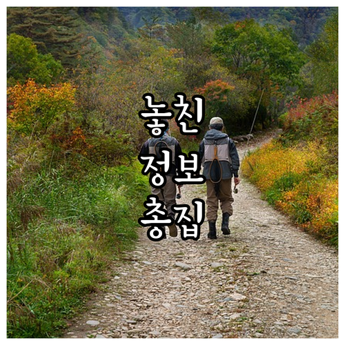 학생 현대카드 혜택과 이용 한도 현명..