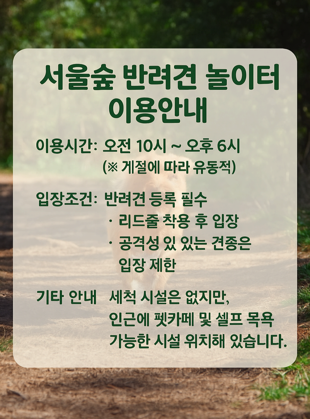 서울숲에서 댕댕이랑 산책하기❘ 도심 속 반려견 놀이터 후기 &amp; 꿀팁 총정리