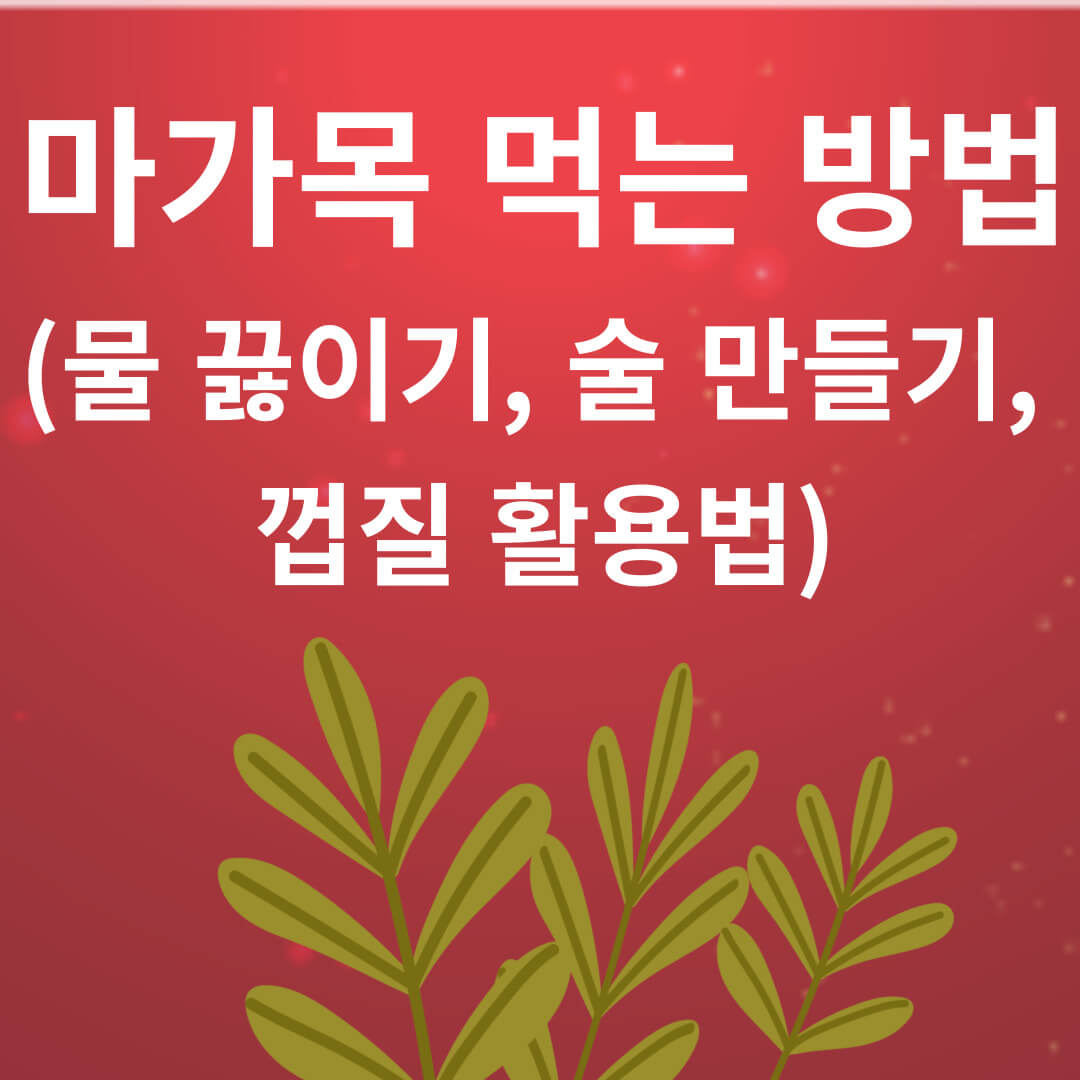 마가목을 먹는 방법