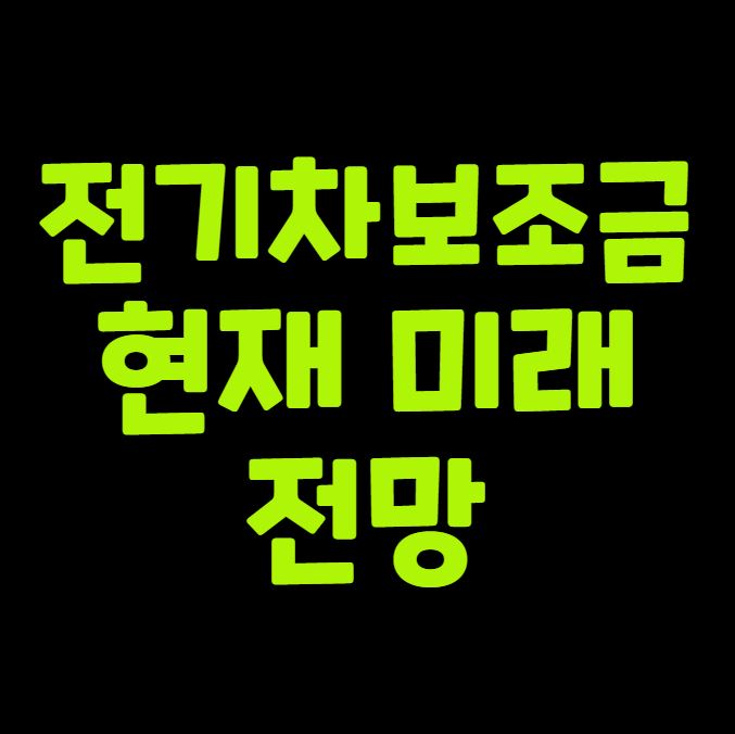 전기차 보조금 변화 현재와 미래 전망