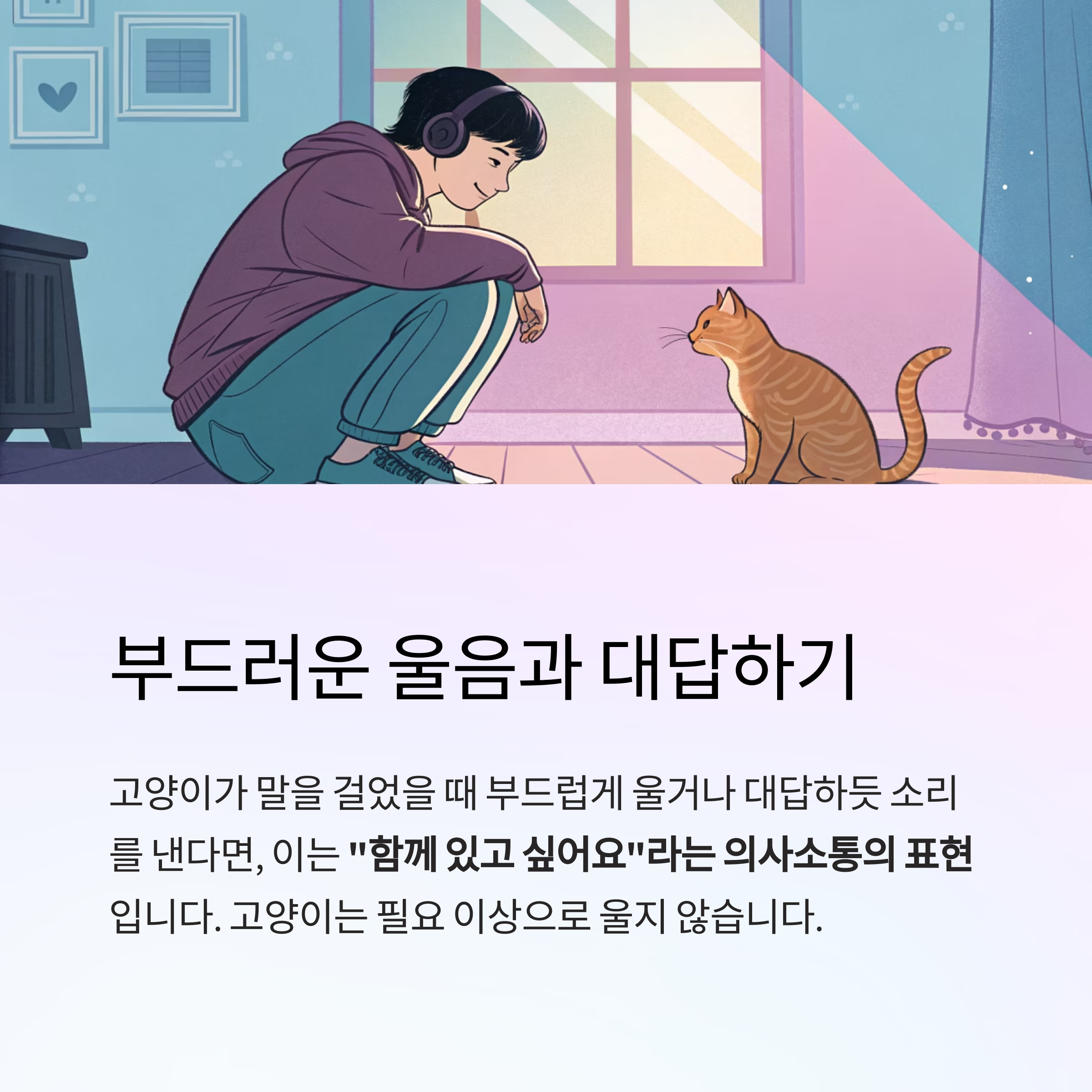 부드러운 울음과 대답하기
