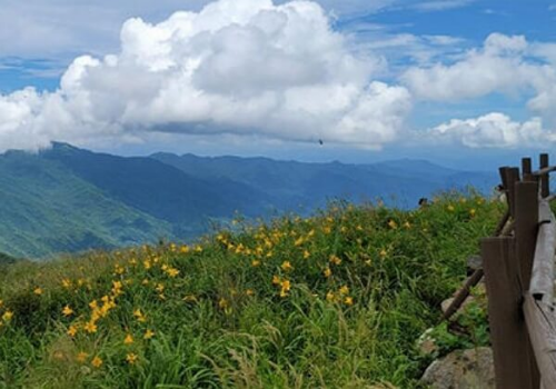 지리산 성삼재 주차장 위치 요금