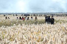 10월 전국축제 일정표