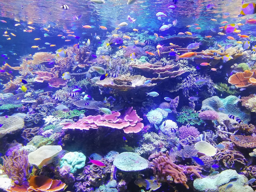 빙어를 영어로 sandy fish 또는 ice fish이라고 할 수 있습니다.