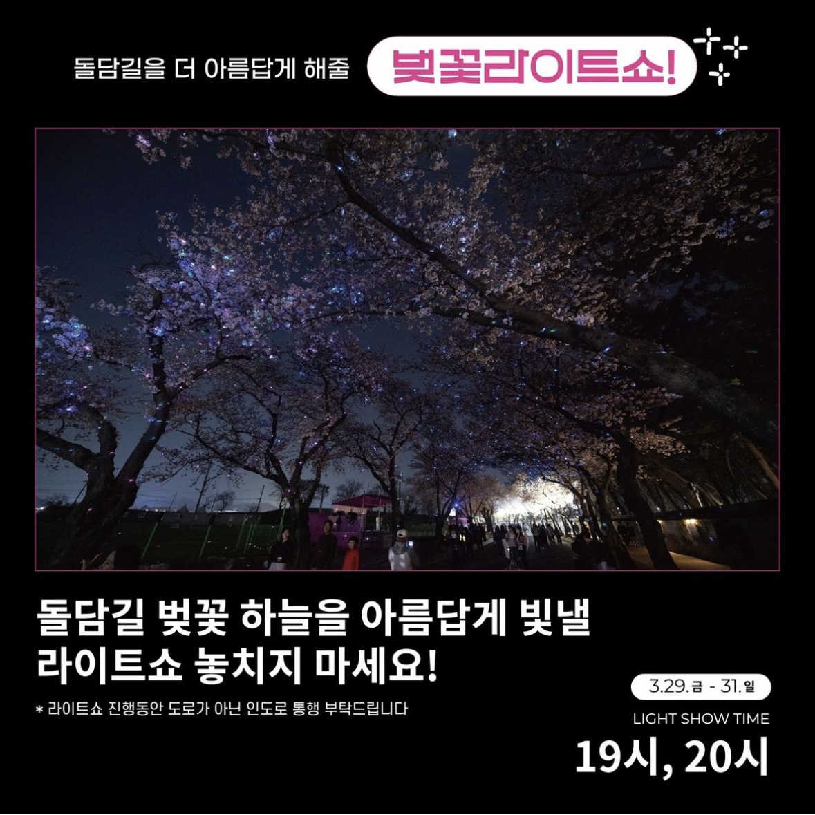 경주 대릉원돌담길 벚꽃축제