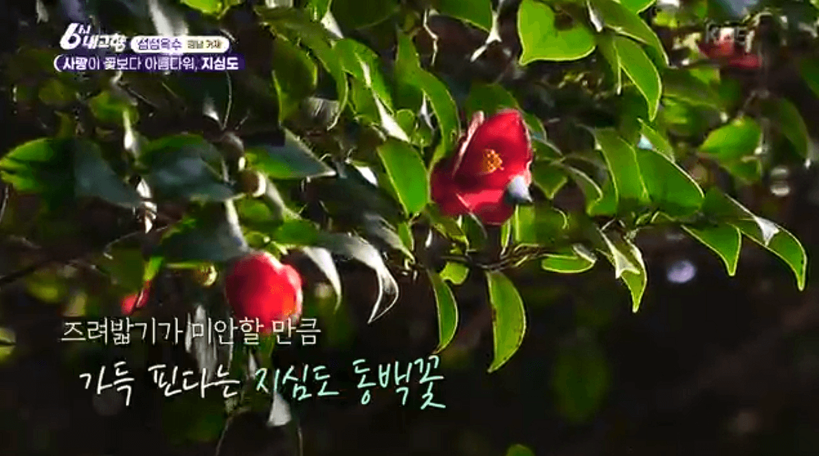 [6시내고향]경남 거제 낚시 야외 웨딩(결혼식) 예약 연락처 정보