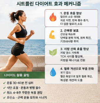 시트룰린-효능-다이어트-내돈내산-효과-추천