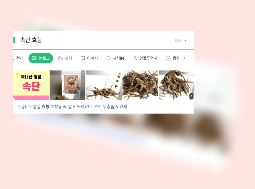 속단 효능_1_subsection