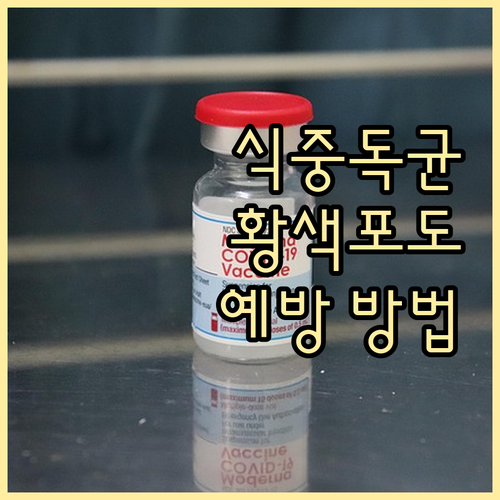 황색포도상구균 식중독: 원인, 빠른 ..